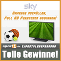 Fussball Fan Umfrage